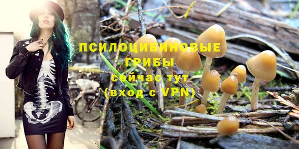 марки nbome Белокуриха